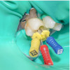 endodontie-3-min-scaled